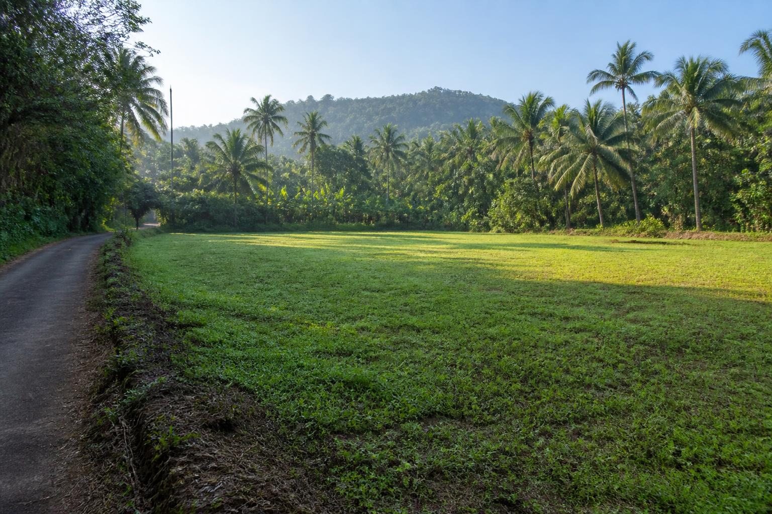 Developed House Plot for Sale at Thrikkakara, Kochi